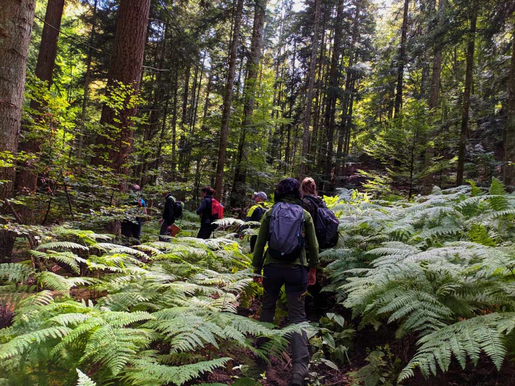 Calendario Iniziative