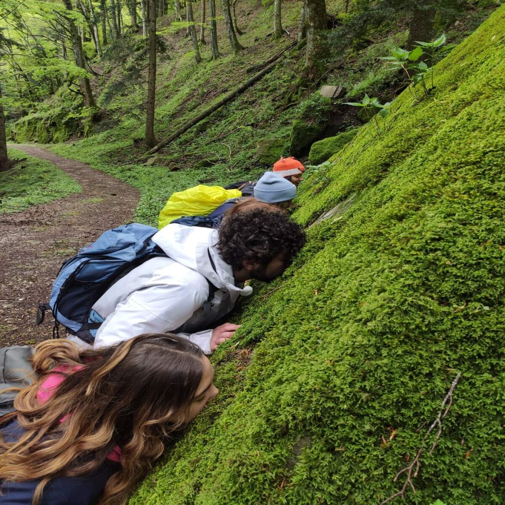 Biofilia - Rigenerazione dell'Attenzione Campi estivi